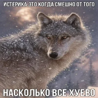 Sticker from Волчья мудрость ☝️☝️☝️ (матершинное)