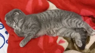 😴 emoji Ахуеть не встать Telegram sticker 16 of 28