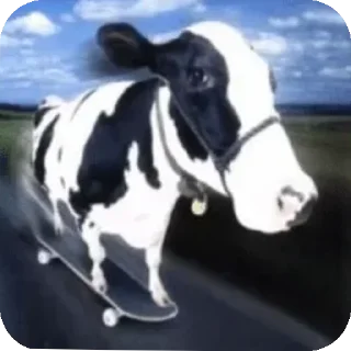 Sticker from stupid cow