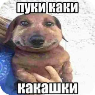 💩 emoji БОЛЬШЕ ⇨ @FULLSITION Telegram sticker 18 of 120