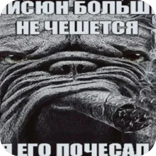 😎 emoji БОЛЬШЕ ⇨ @FULLSITION Telegram sticker 10 of 120