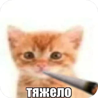 🫥 emoji БОЛЬШЕ ⇨ @CLOOBHUB Telegram sticker 16 of 115