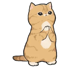 🫶 emoji (｡ﾉω＼｡) @wstwhp 🤲🏻 Telegram sticker 16 of 24