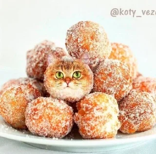 Sticker from аккуратно, не съешьте кота