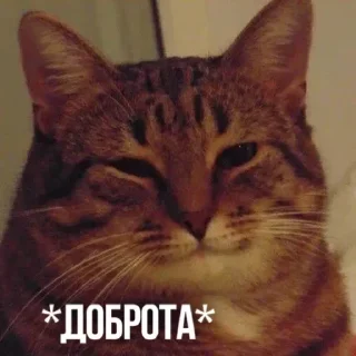 ☺️ emoji 💕Стики тут: @sekstick Telegram sticker 11 of 111