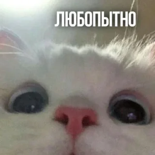👀 emoji 💕Стики тут: @sekstick Telegram sticker 12 of 111