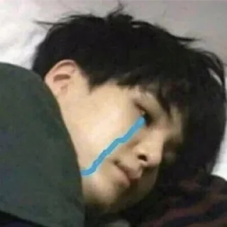 😭 emoji We are pussyproof Telegram sticker 10 of 115