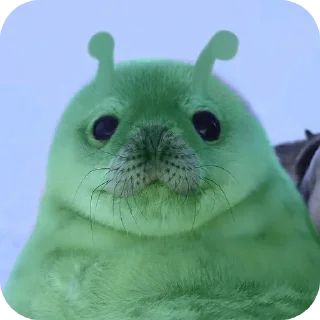 🐦 emoji ТЮЛЕНЧИКИ 🦭🦭🦭🦭🦭🦭🦭 Telegram sticker 16 of 40