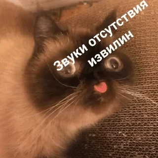 Sticker from Работаем, друзья