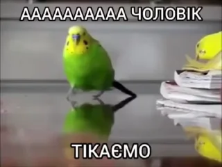 🌟 emoji капітоша картоша дай тєлєфошу Telegram sticker 10 of 81