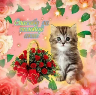 🌟 emoji капітоша картоша дай тєлєфошу Telegram sticker 6 of 81