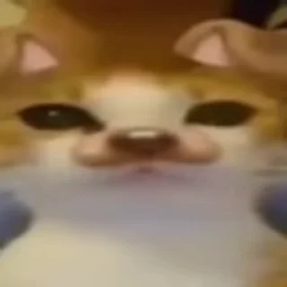 🌟 emoji Котики трупа Telegram sticker 1 of 80