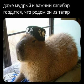 🙂 emoji всратые картинки бля Telegram sticker 21 of 40