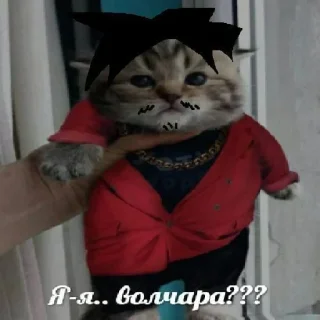 🐺 emoji всратые картинки бля Telegram sticker 22 of 40