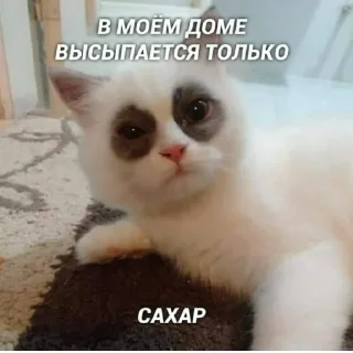 🥱 emoji всратые картинки бля Telegram sticker 14 of 40
