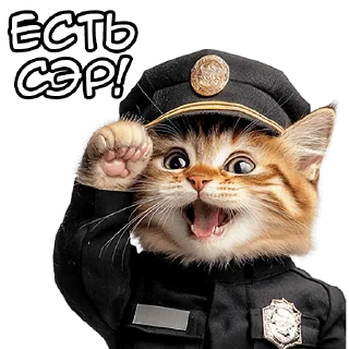 Sticker from Кот-полицейский @Nyasticks