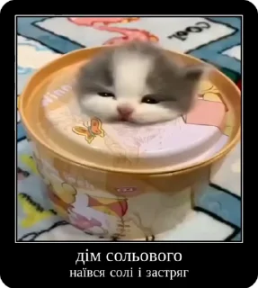 🏠 emoji Сольовик і неформали @solovyy Telegram sticker 7 of 50