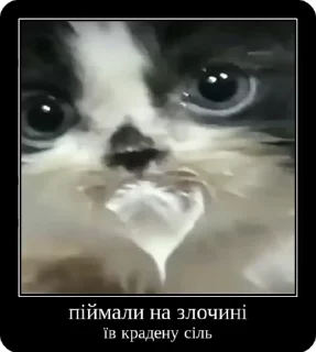 👮‍♀️ emoji Сольовик і неформали @solovyy Telegram sticker 16 of 50