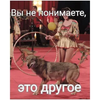 🐺 emoji Блядский цирк Telegram sticker 5 of 58