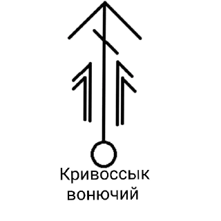 🍆 emoji Блядский цирк Telegram sticker 11 of 58