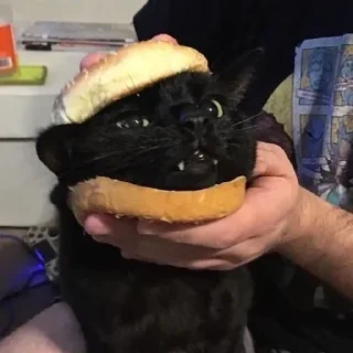 🍔 emoji Больше стиков тут: @stikery4 Telegram sticker 19 of 120