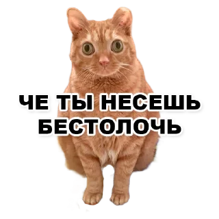 Sticker from Пикчи для общения с девочками
