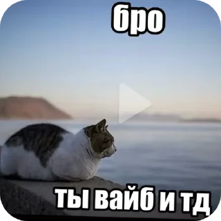 Sticker from Toretto's emodji  ЛС @Torettow