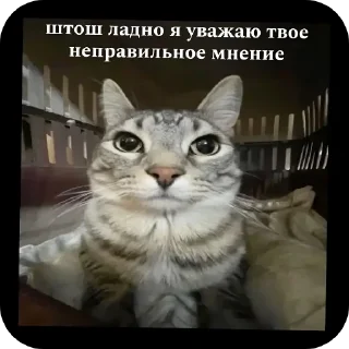 🖼 emoji Стики раза Telegram sticker 19 of 21