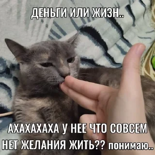 🔫 emoji Сульфур!?!!(≧▽≦)!<3!! Telegram sticker 13 of 31