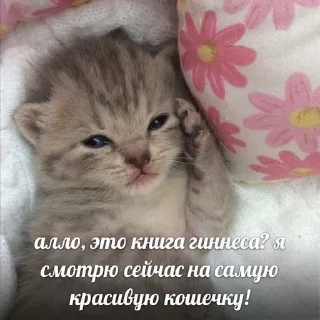 Sticker from Стикеры на все случаи жизни<З