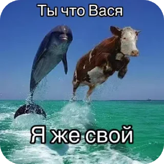 🐦 emoji Патамушта Telegram sticker 5 of 13