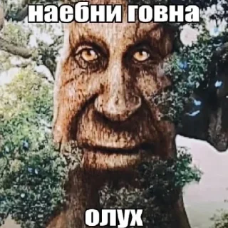 Sticker from Дуб🌳