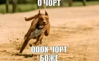 🐶 emoji лучшие стикеры на свете :: @miljkss Telegram sticker 3 of 58