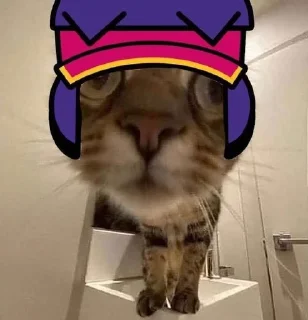 🌟 emoji Для моей Асули Telegram sticker 14 of 32