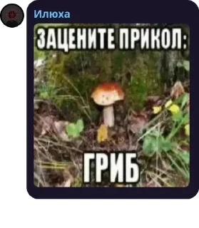 Sticker from великие цитаты