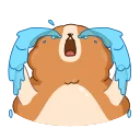😭 emoji Hamster Bernard Telegram sticker 10 of 25