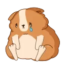 😢 emoji Hamster Bernard Telegram sticker 24 of 25