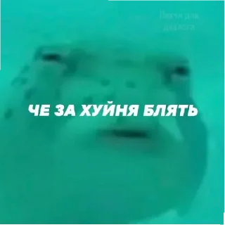 👾 emoji Буба Telegram sticker 18 of 20