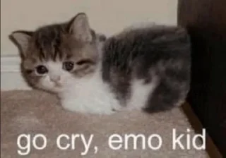 😼 emoji домашний Telegram sticker 7 of 25