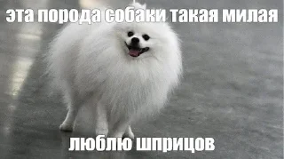 🌟 emoji Домашний квас из берёзового со Telegram sticker 17 of 17