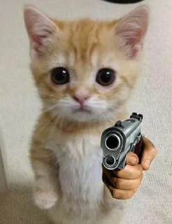 👿 emoji Не заходи сюда👉🏻 @stikiin Telegram sticker 6 of 57