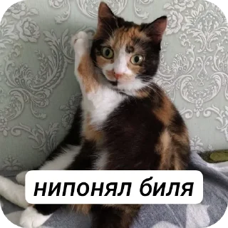 🤨 emoji пуньк :> Telegram sticker 2 of 29