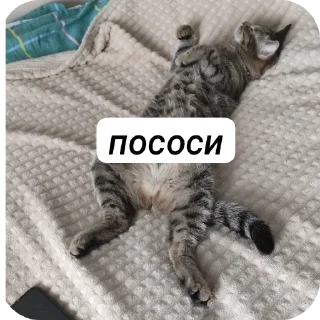 👍 emoji пуньк :> Telegram sticker 9 of 29