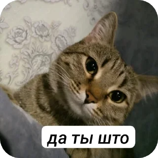 👍 emoji пуньк :> Telegram sticker 12 of 29