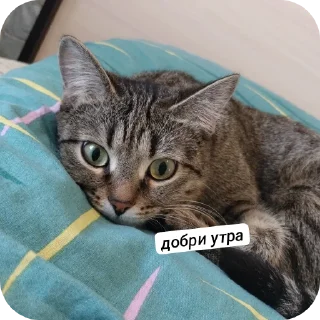 👍 emoji пуньк :> Telegram sticker 4 of 29