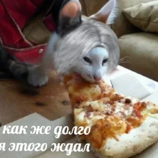 Sticker from Дивел май сру 2