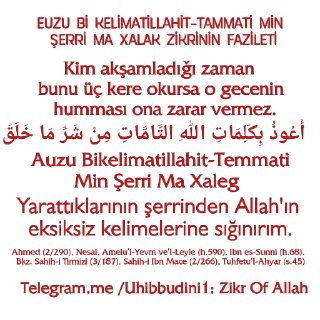 🤲 emoji @Uhibbudini1 / Zikr Of Allah Telegram sticker 8 of 45
