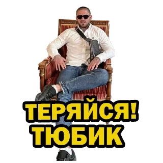 😎 emoji SLON Telegram sticker 17 of 31