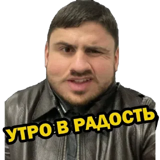 🌝 emoji SLON Telegram sticker 23 of 31