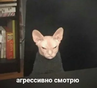 😡 emoji Для важных переговоров Telegram sticker 2 of 14